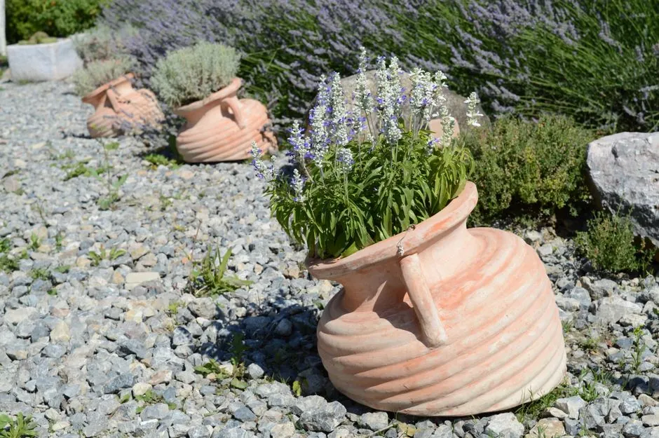 Jardin mediterraneen amenage en Roussillon par Hibiscus Garden